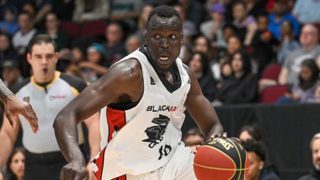 Ottawa BlackJacks forward Deng Adel