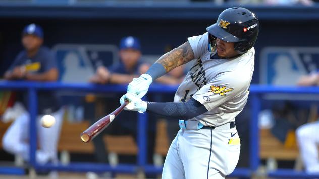 Xavier Isaac at bat for the Montgomery Biscuits