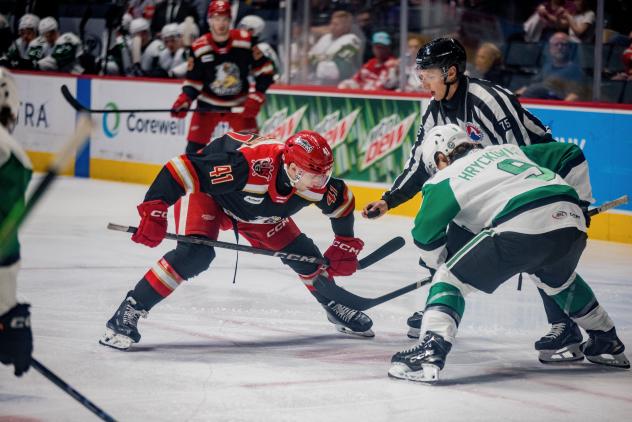 Grand Rapids Griffins center Ondrej Becher faces off with the Texas Stars