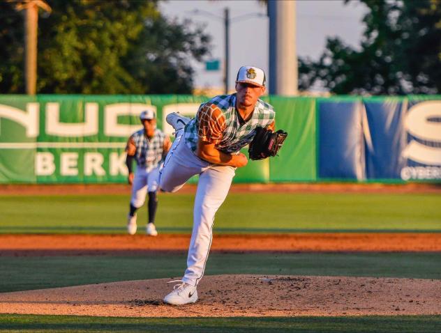 Charleston RiverDogs pitcher Jayden Voelker