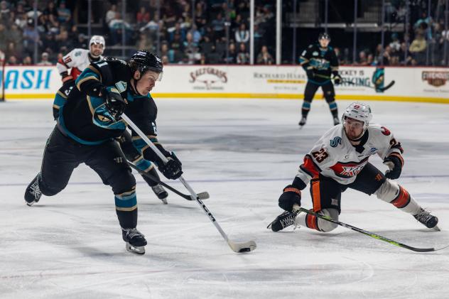 Tahoe Knight Monsters' Sloan Stanick battles Kansas City Mavericks' Zack Trott