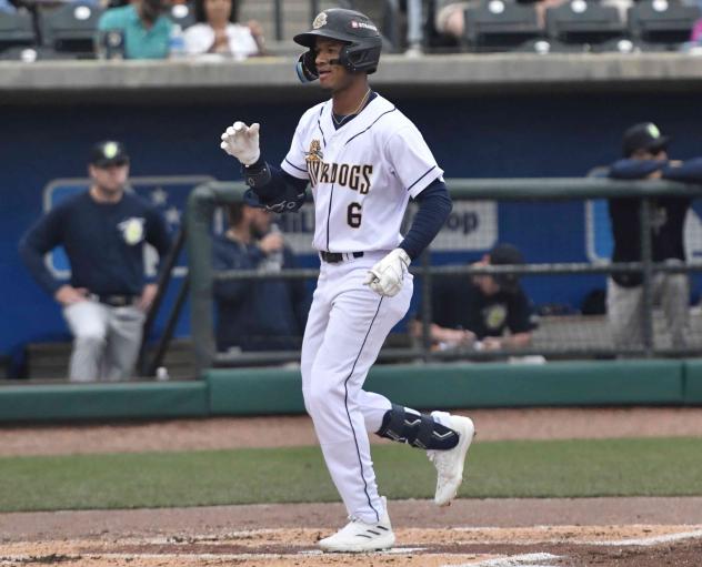Narciso Polanco of the Charleston RiverDogs