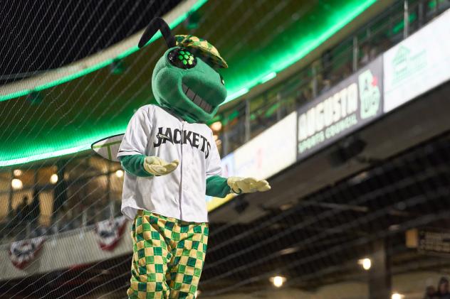 Augusta GreenJackets mascot Auggie