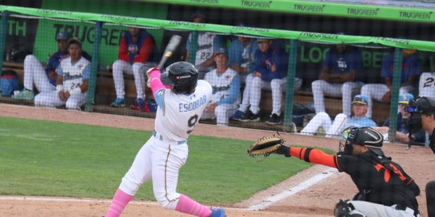 Jose Escobar at bat for the Myrtle Beach Pelicans