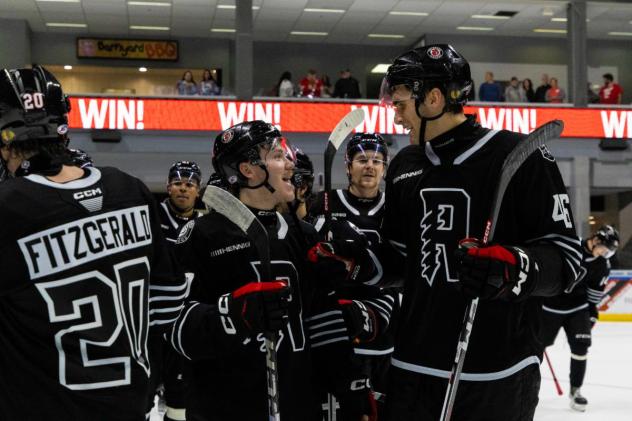 Rockford IceHogs after a victory