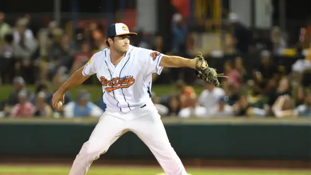 Down East Bird Dawgs on the mound