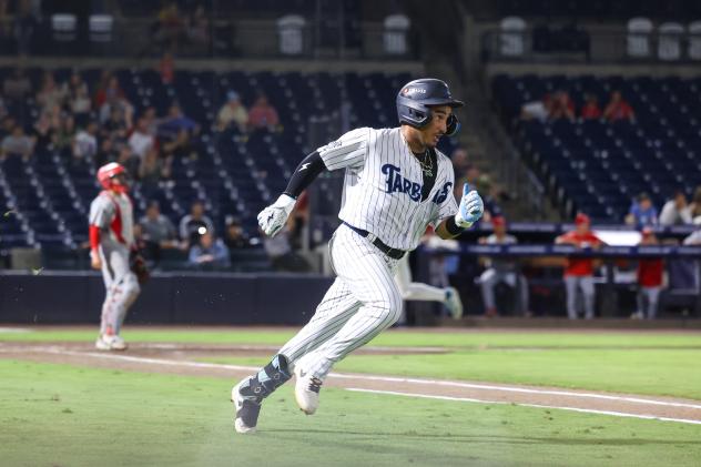 Tampa Tarpons' Hans Montero in action