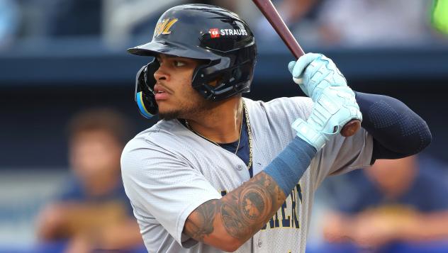 Xavier Isaac of the Montgomery Biscuits at bat