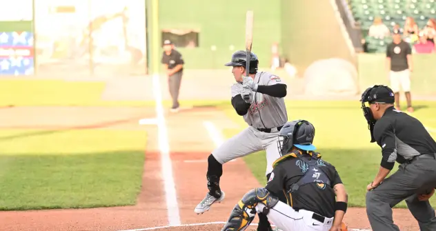 Troy Viola of the Long Island Ducks at bat