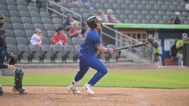 Fayetteville Woodpeckers as the Eighty Deuces