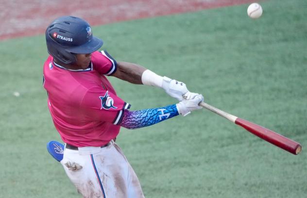 Pensacola Blue Wahoos at the plate