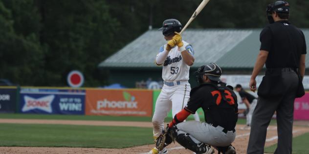 Myrtle Beach Pelicans shortstop Yahil Melendez at bat