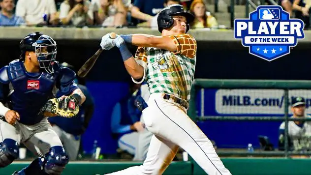 Charleston RiverDogs outfielder Theo Gillen