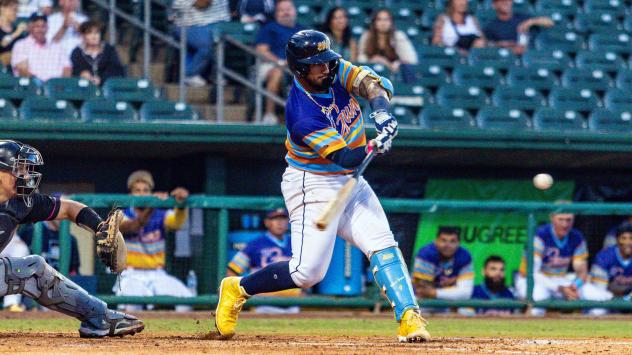 Montgomery Biscuits catcher Ricardo Genovés