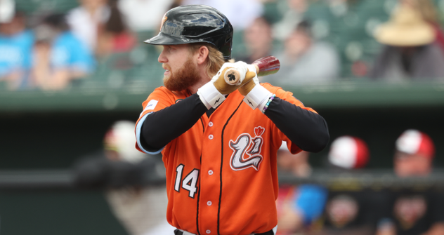 Long Island Ducks outfielder River Town at bat