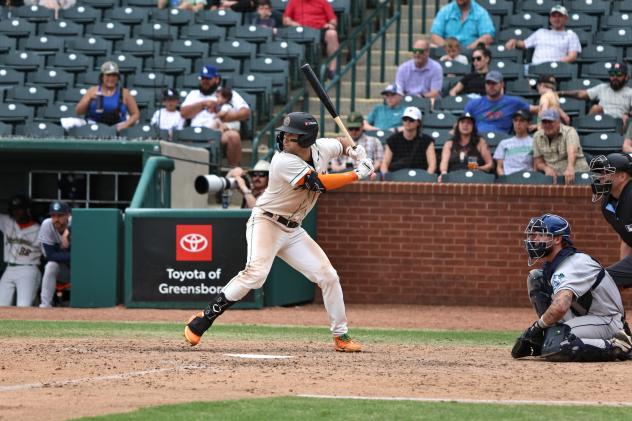 Greensboro Grasshoppers infielder Duce Gourson at bat