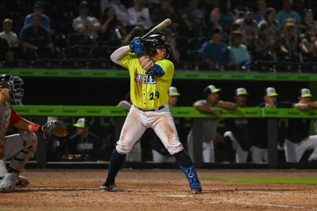 Gabriel Silva at bat for the Columbia Fireflies
