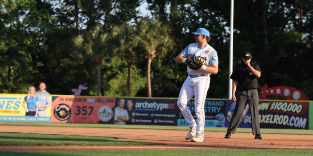 Myrtle Beach Pelicans in the field