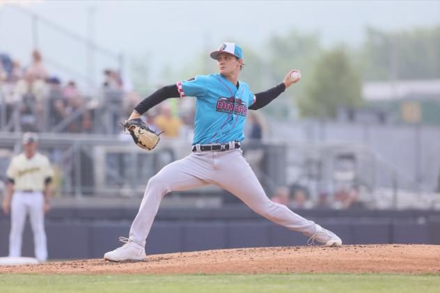 Somerset Patriots pitcher Brock Selvidge