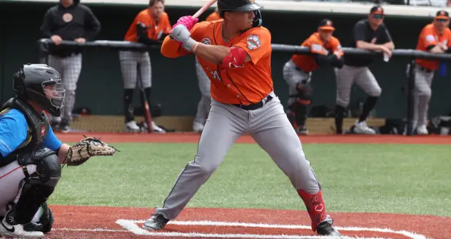 Long Island Ducks at the plate