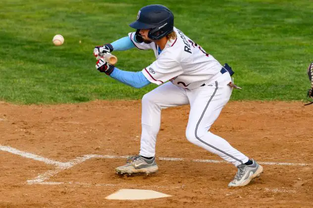 St. Cloud Rox' Tanner Recchio at bat