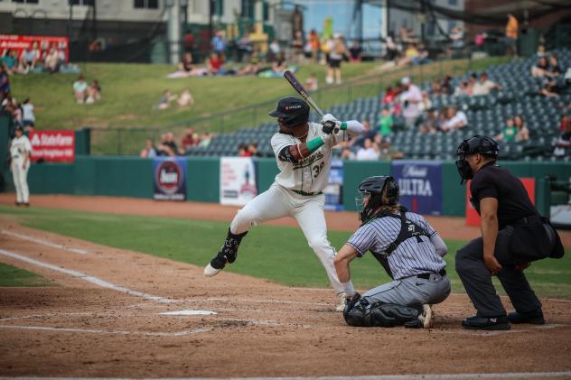 Greensboro Grasshoppers outfielder Shalin Polanco at bat