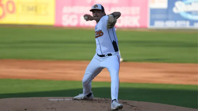 Down East Bird Dawgs deliver a pitch