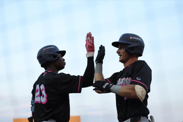 Pensacola Blue Wahoos exchange high fives