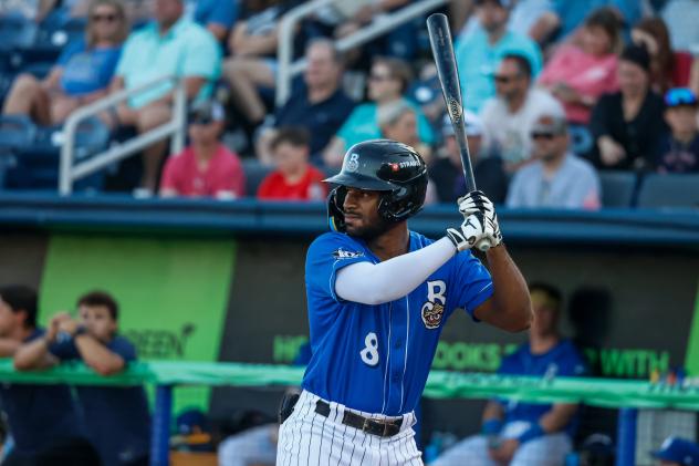 Biloxi Shuckers catcher Zavier Warren
