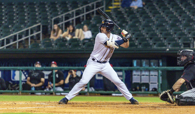 Montgomery Biscuits catcher Tatem Levins