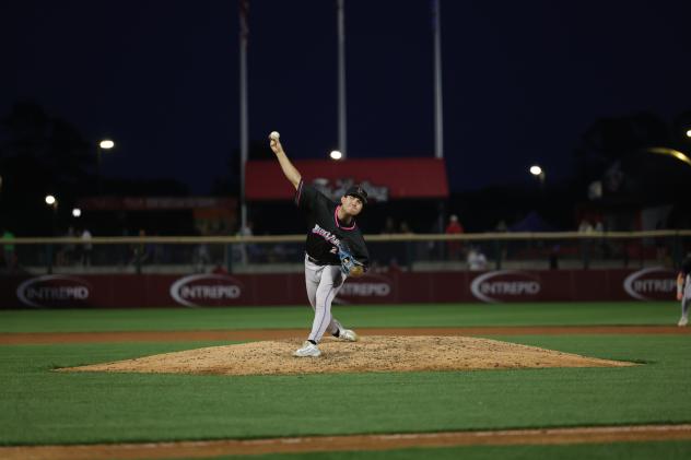 Pensacola Blue Wahoos on the mound