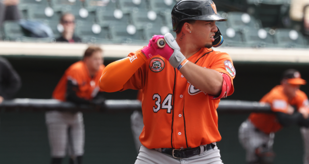 Long Island Ducks catcher Ronaldo Flores