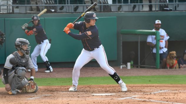 Down East Bird Dawgs at bat