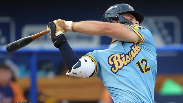 Montgomery Biscuits' Tatem Levins at bat
