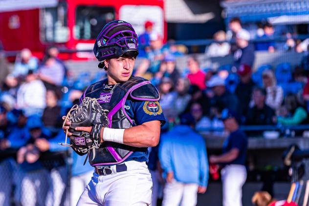 Victoria HarbourCats' Jacob Silva on game night