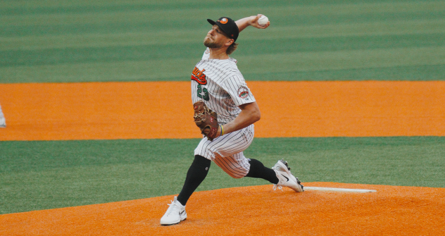 Long Island Ducks' Ryan Sandberg in action