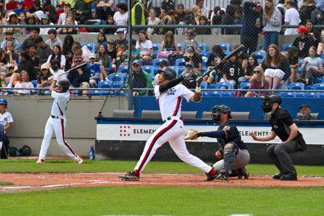 Bellingham Bells' Isaiah Afework at bat
