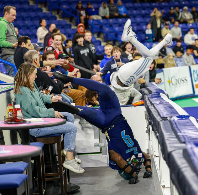 Massachusetts Pirates go into the stands to make a play