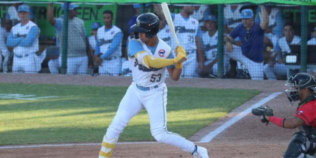 Myrtle Beach Pelicans shortstop Yahil Melendez at bat