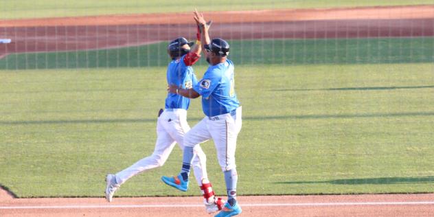 Eli Lovich of the Myrtle Beach Pelicans receives a high five following his home run