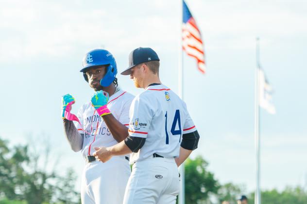 Lake Country DockHounds react following a base hit