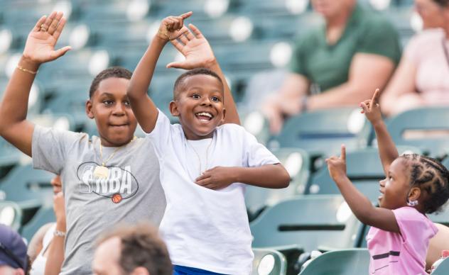 Columbia Fireflies fans