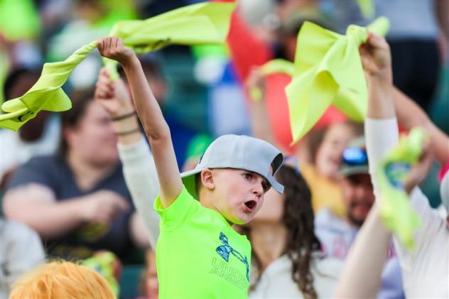 Columbia Fireflies fans