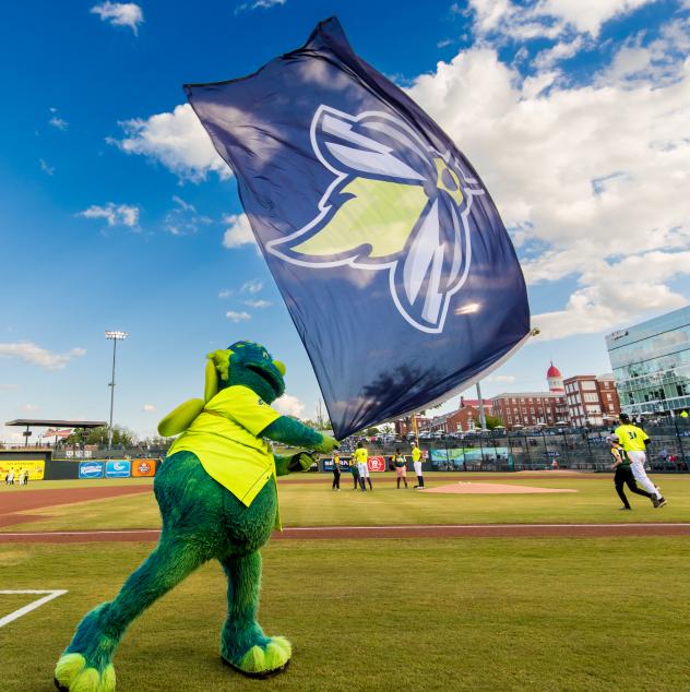 Columbia Fireflies mascot Mason
