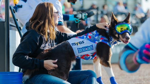 Colt the Bat Dog