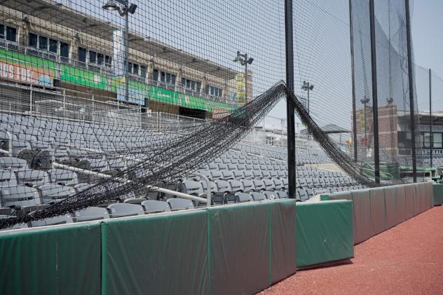 New netting at GoMart Ballpark, home of the Charleston Dirty Birds