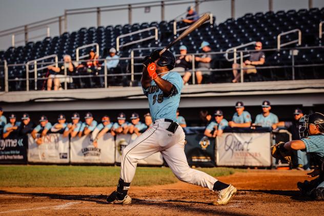 Fond du Lac Dock Spiders' Jarren Sanderson at bat