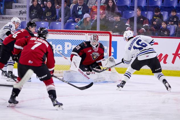 Vancouver Giants goaltender Burke Hood