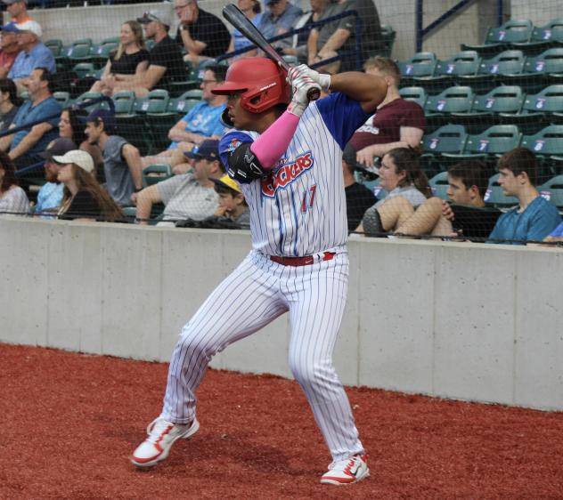 Green Bay Rockers outfielder Eli Selga
