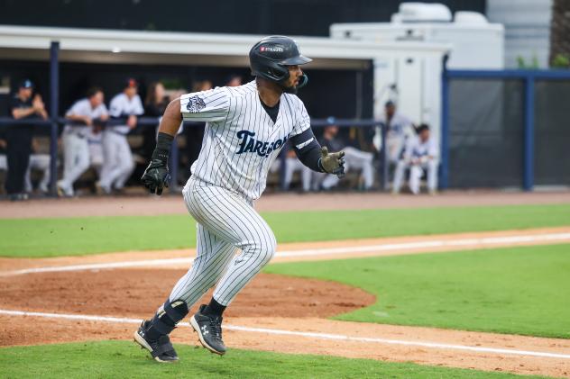 Engelth Urena of the Tampa Tarpons